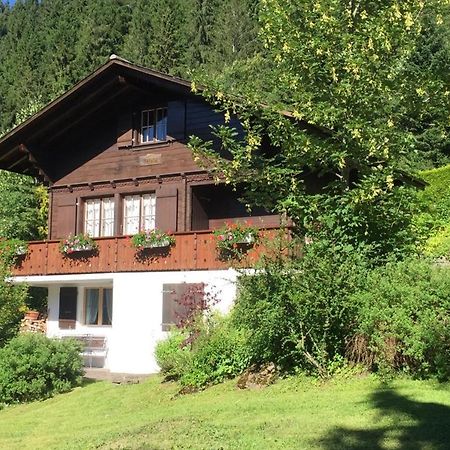 Ferienwohnung Betula 巴德施瓦茨塞 外观 照片